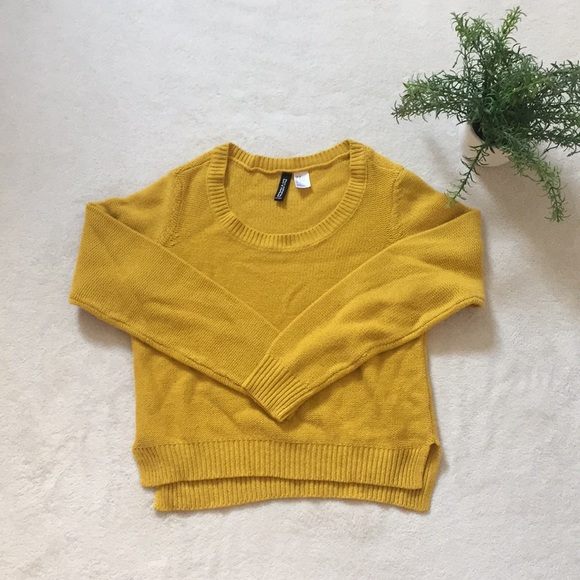 H&M Sweaters - H&M Crop Sweater